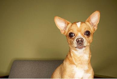 《赛博朋克2077：往日之影》PC版26日7点解锁 主机版0点